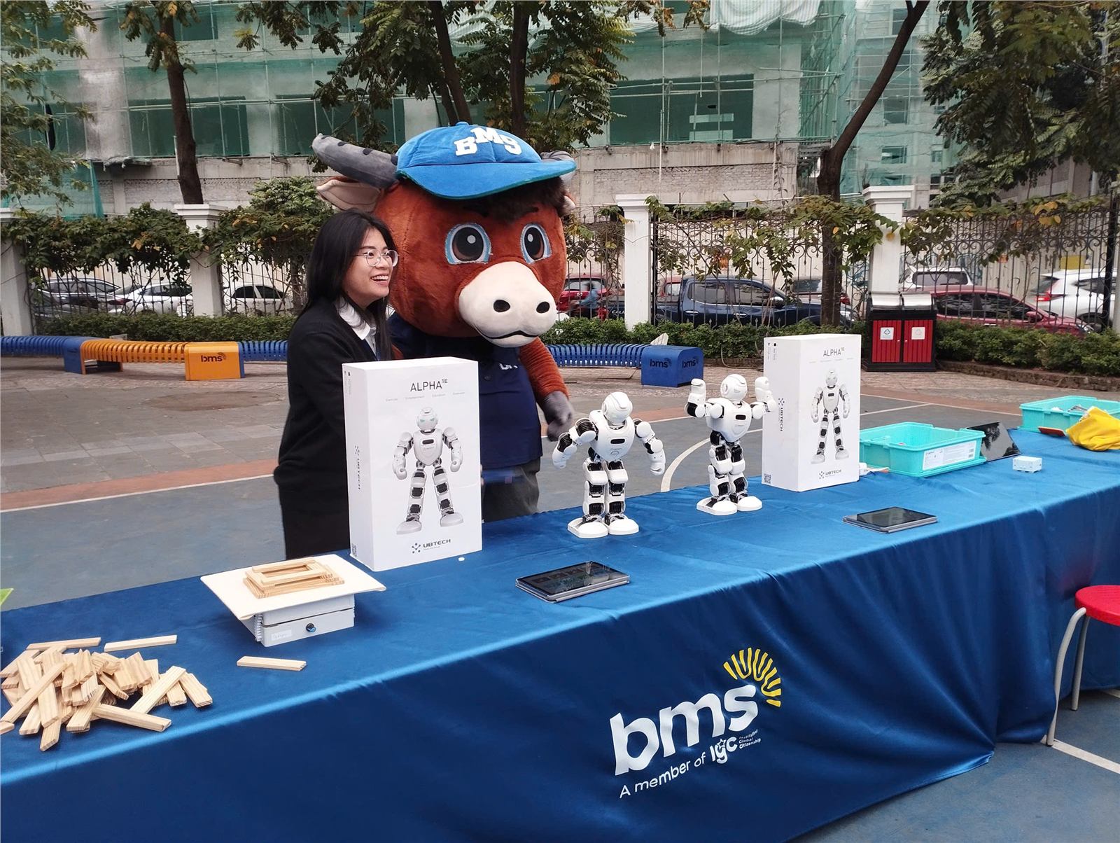 Liên cấp BMS Ban Mai